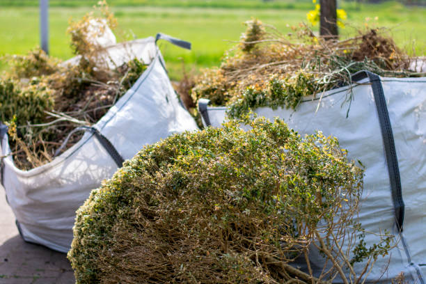 Best Construction Debris Removal  in Coolidge, AZ